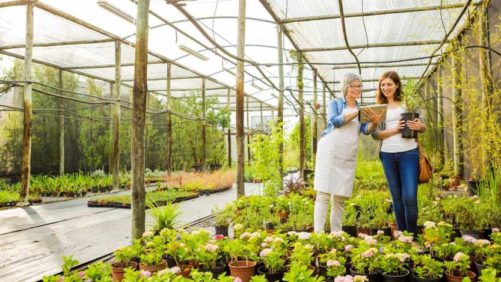 4 Myths That Keep Greenhouses from Adopting a Business Management Solution