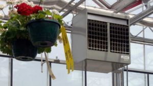 Maintaining Energy-Efficient Greenhouse Heating During Cold Months