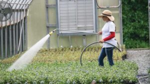 Vaccine Requirements Ramp up for H-2A Workers