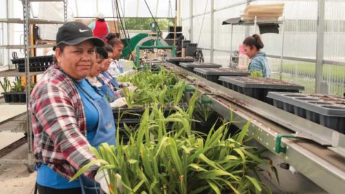 Report Shows U.S. Ag Labor Force Taking a Hit in 2021
