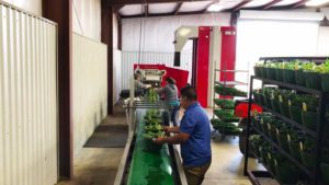 Ways Plant Production Automation Can Ease Your Labor Concerns