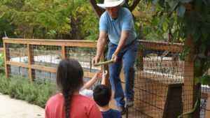 Why Gardening Is Not Really About the Kids