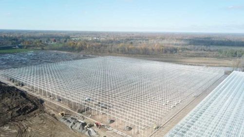 New Vegetable Greenhouse in New York Will Be Largest in U.S.