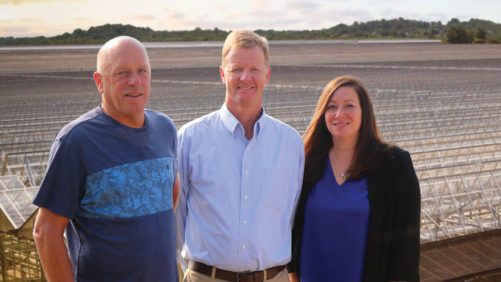 The New Face of Controlled-Environment Ag