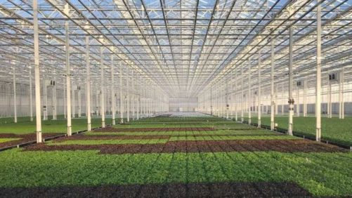 University of Florida Offers New Online Greenhouse 101 Course