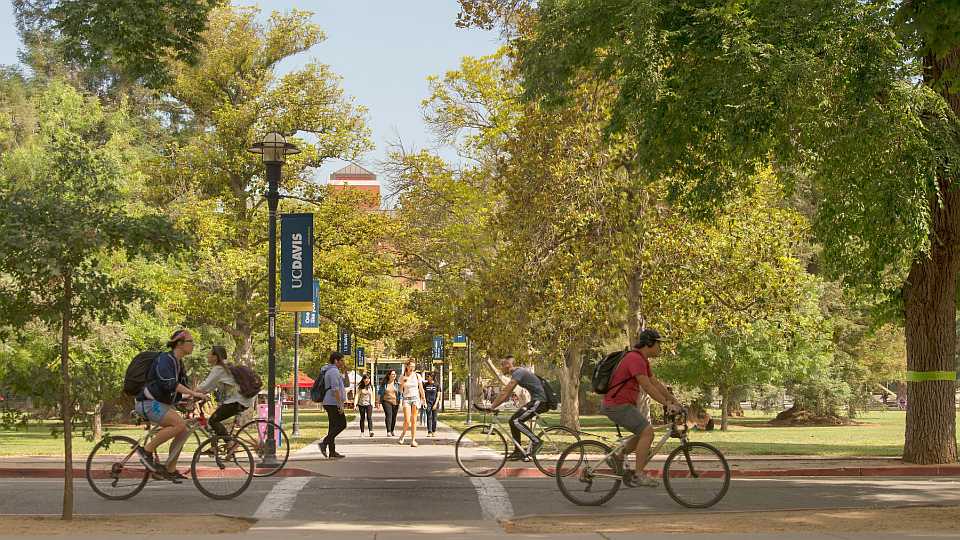 2. UC Davis