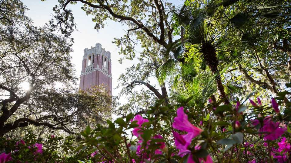 University of Florida campus plant health management