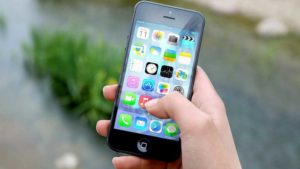 The Growing Influence of Content Creators in the Horticulture Industry