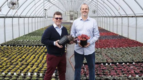 How to Be a More Effective Leader at Your Greenhouse Company