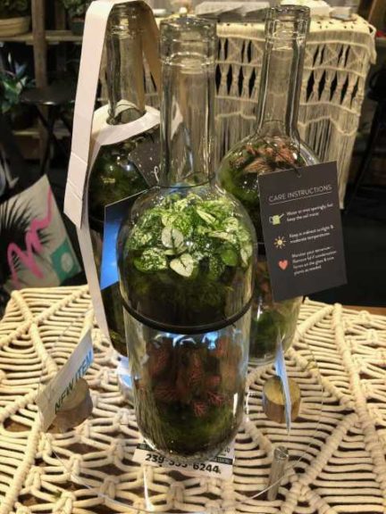 Cheers Mini Garden Wine Bottle (Flori-Design)
