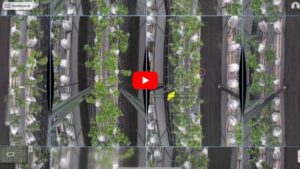 What Illumitex’s Shift to Artificial Intelligence Means for the Future of Horticulture