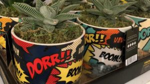17 Plant Products That Wowed Grower-Retailers at TPIE 2020