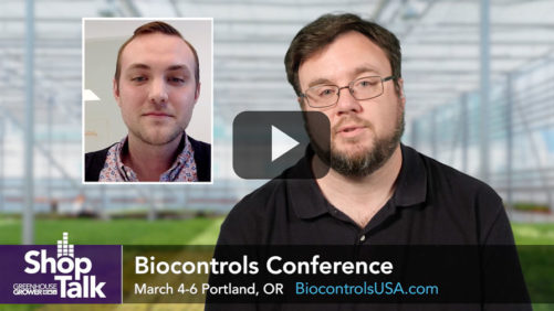 Why Biostimulants Are Important for Greenhouse Crop Management (Video)