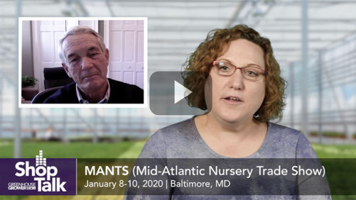 Shop Talk: Allan Armitage Weighs in on MANTS 2020