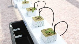 A Smart Greenhouse That Is out of This World