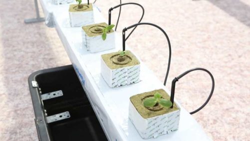 A Smart Greenhouse That Is out of This World