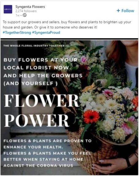 Flower Power