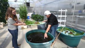 The Ohio State University ATI Provides the Training Ground for Tomorrow’s Growers