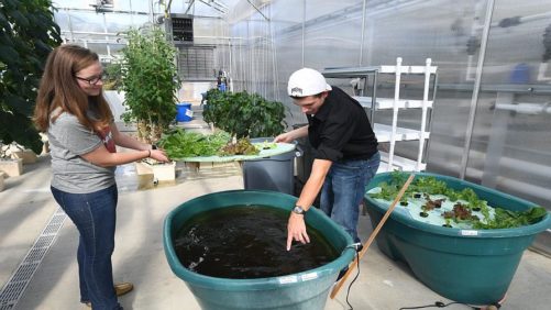 The Ohio State University ATI Provides the Training Ground for Tomorrow’s Growers