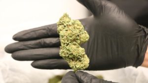 Inc.com: Erratic Sales and Customer Behaviors, Edibles Rise in Post-Coronavirus Cannabis World