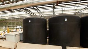 How You Can ID Water Problems in the Greenhouse Before They Start