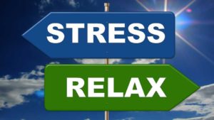 3. Get in the Garden and Reduces Stress