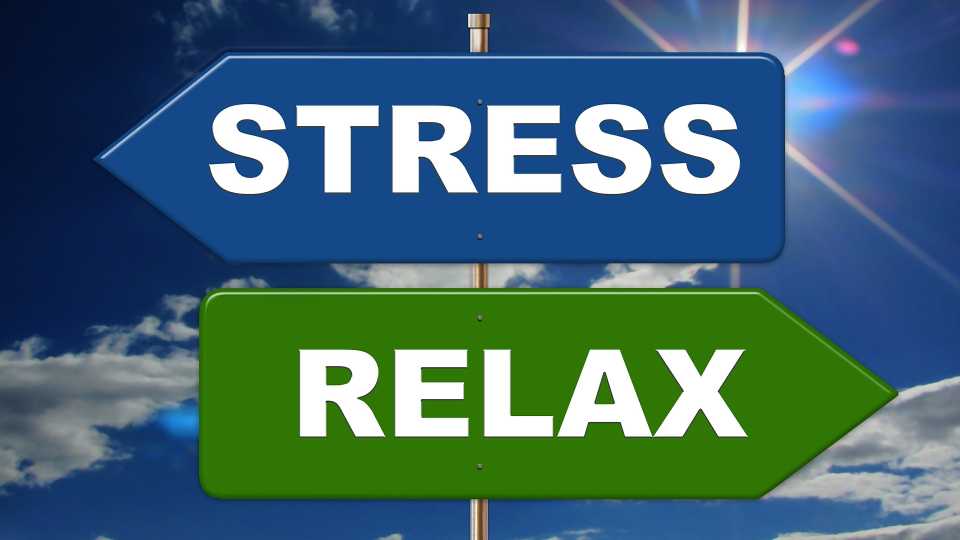 3. Get in the Garden and Reduces Stress