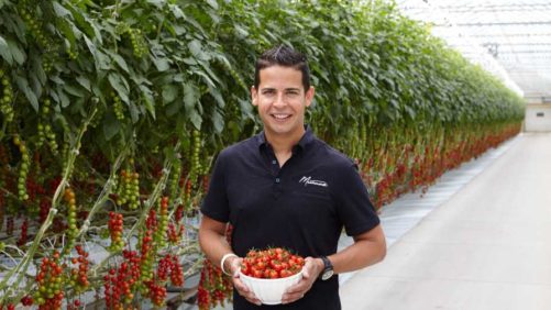 How Mastronardi Produce Became Pioneers of High-Tech Vegetable Growing