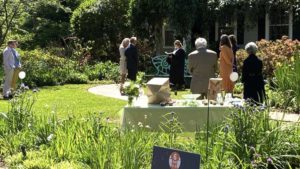 How Plant Lovers Can Feel Isolated But Not Alone During Coronavirus