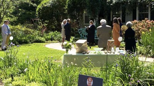 How Plant Lovers Can Feel Isolated But Not Alone During Coronavirus