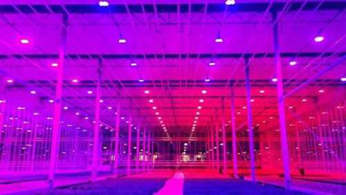 Get the Facts About Full-Spectrum Lighting