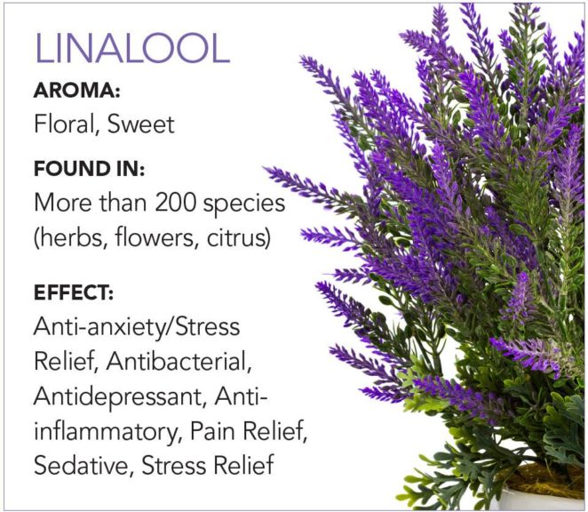 2. Linalool