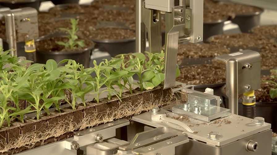 AutoStix Media Strip from Visser Horti Systems