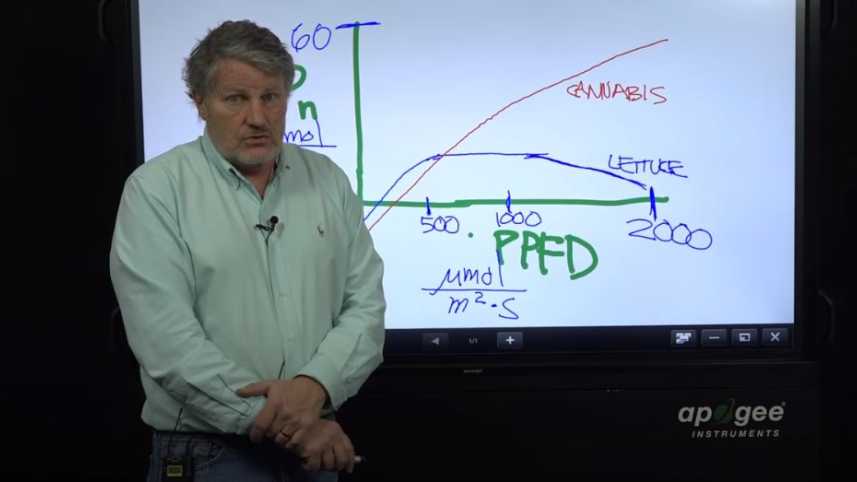 Cannabis Lighting Myths Video