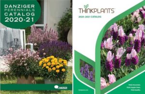 Danziger Perennials Catalog