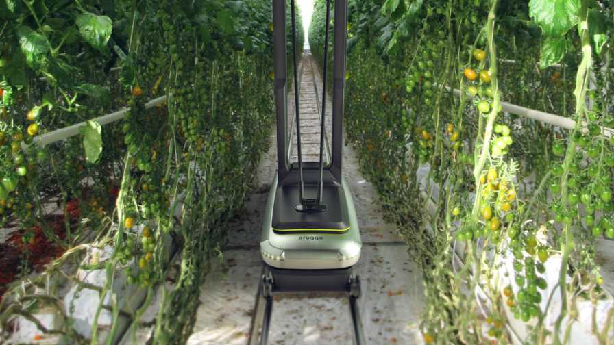 Tomato Pollinator Robot in the Greenhouse