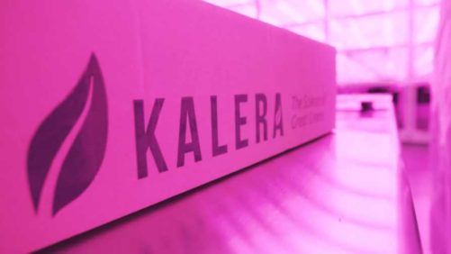 Vertical Farming to Reach New Heights in the Rockies