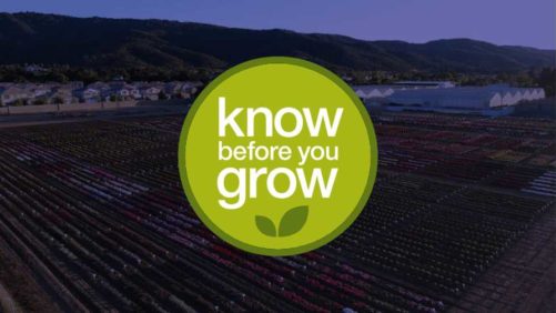 Syngenta Checks in on Poinsettia Production