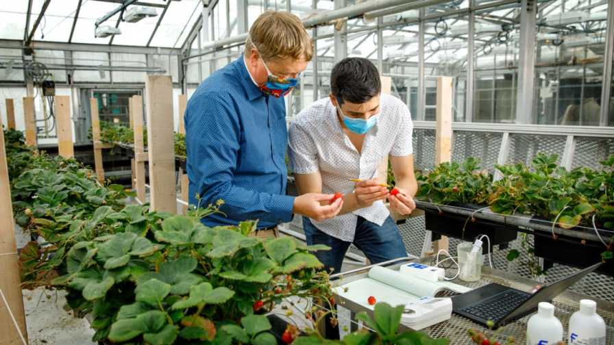 USDA Grant for Cornell