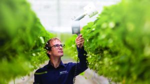 Digital Assistant Tool From Koppert Coming in 2024