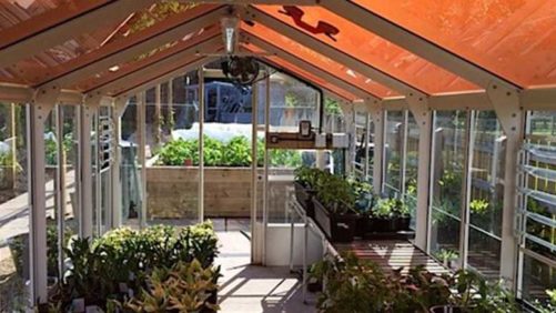 Ways Tinted Solar Panels Could Improve Greenhouse Crop Quality
