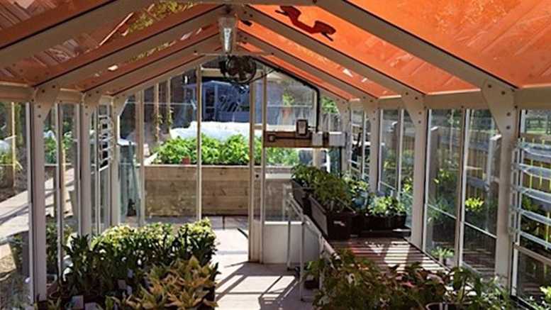 greenhouse with tinted solar panels credit university of cambridge