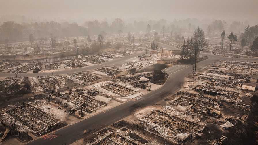How Floral Industry Members Can Seek Relief from Wildfire and Storm Damage