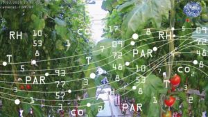 Innovative Lessons From the Autonomous Greenhouse Challenge Winners