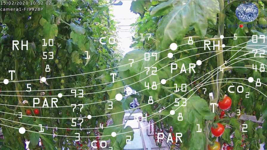 Data Driven Growing