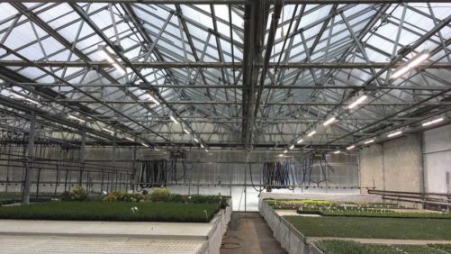 Griffin Releases New Controlled Environment Agriculture Catalog