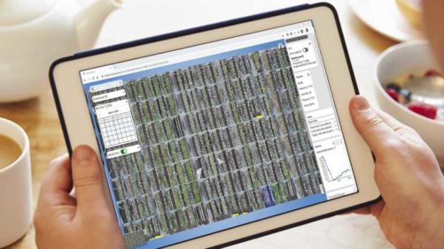 Illumitex Shines Light on A.I. Potential for Indoor Ag