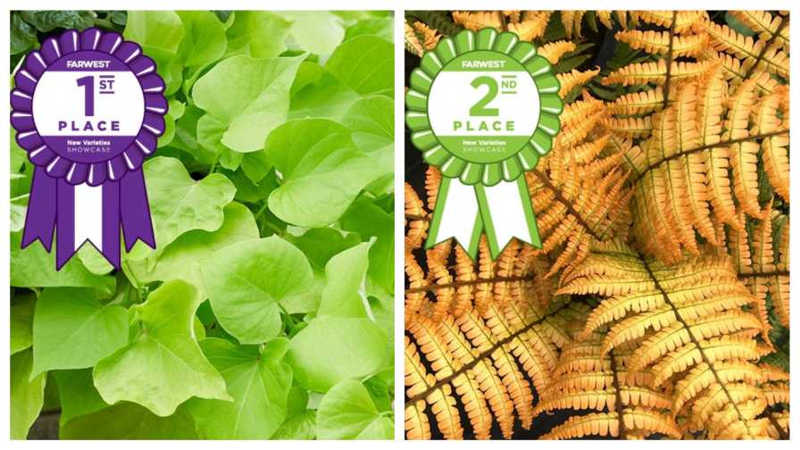 Farwest Show New Varieties Showcase Winners