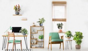 Broadacre Cities: What You Can Do