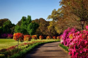 Design Abundance: What You Can Do